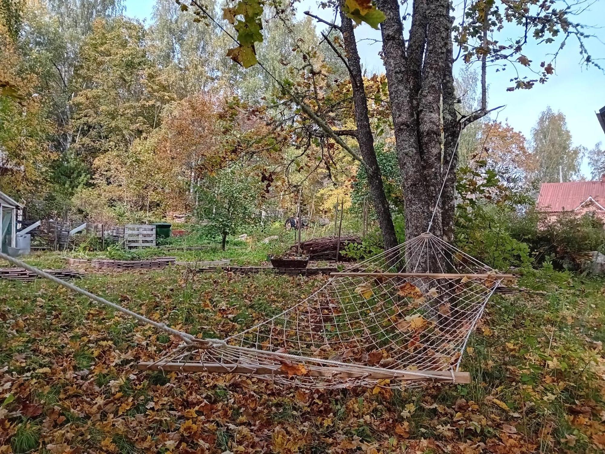 Bobackan Pihatorppa Hauholla Alvettula Zewnętrze zdjęcie